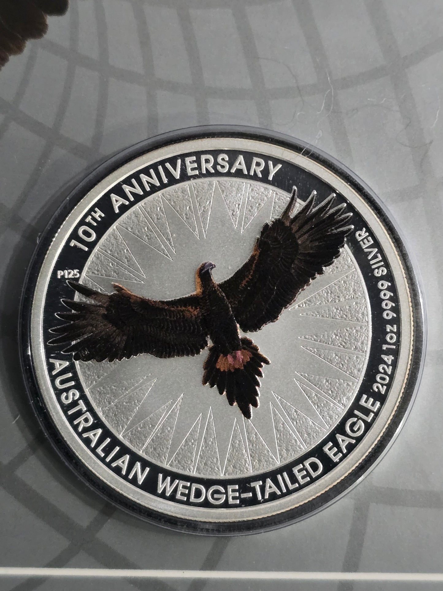 1oz 2024 Coloured Wedge-tailed Eagle Silver coin
