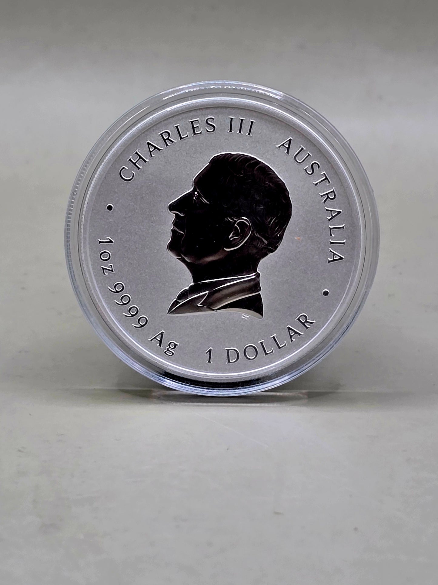 1oz 2025 Snake silver coin