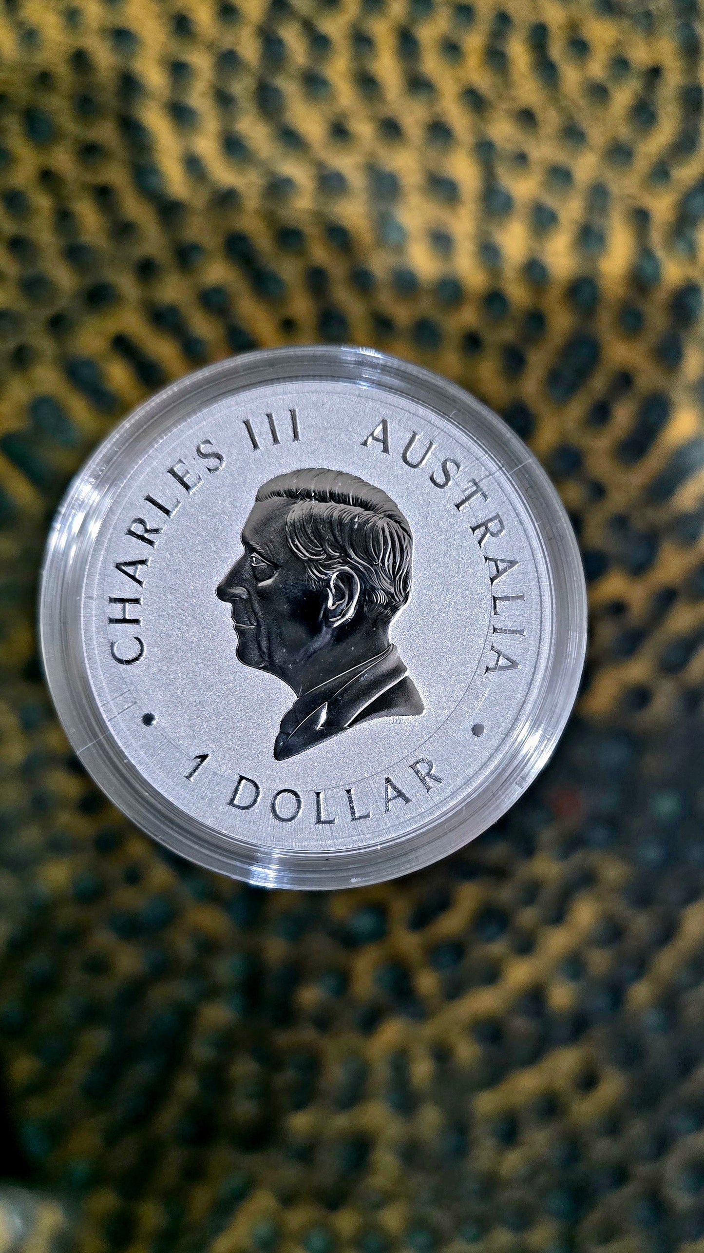 1oz 2025 Perth Mint Wedge-tailed Eagle silver coin