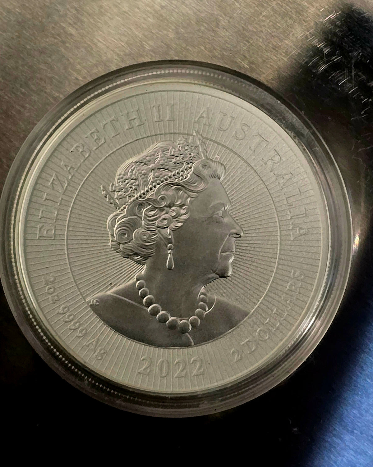 2oz 2022 Mother Baby silver Dingo in capsule