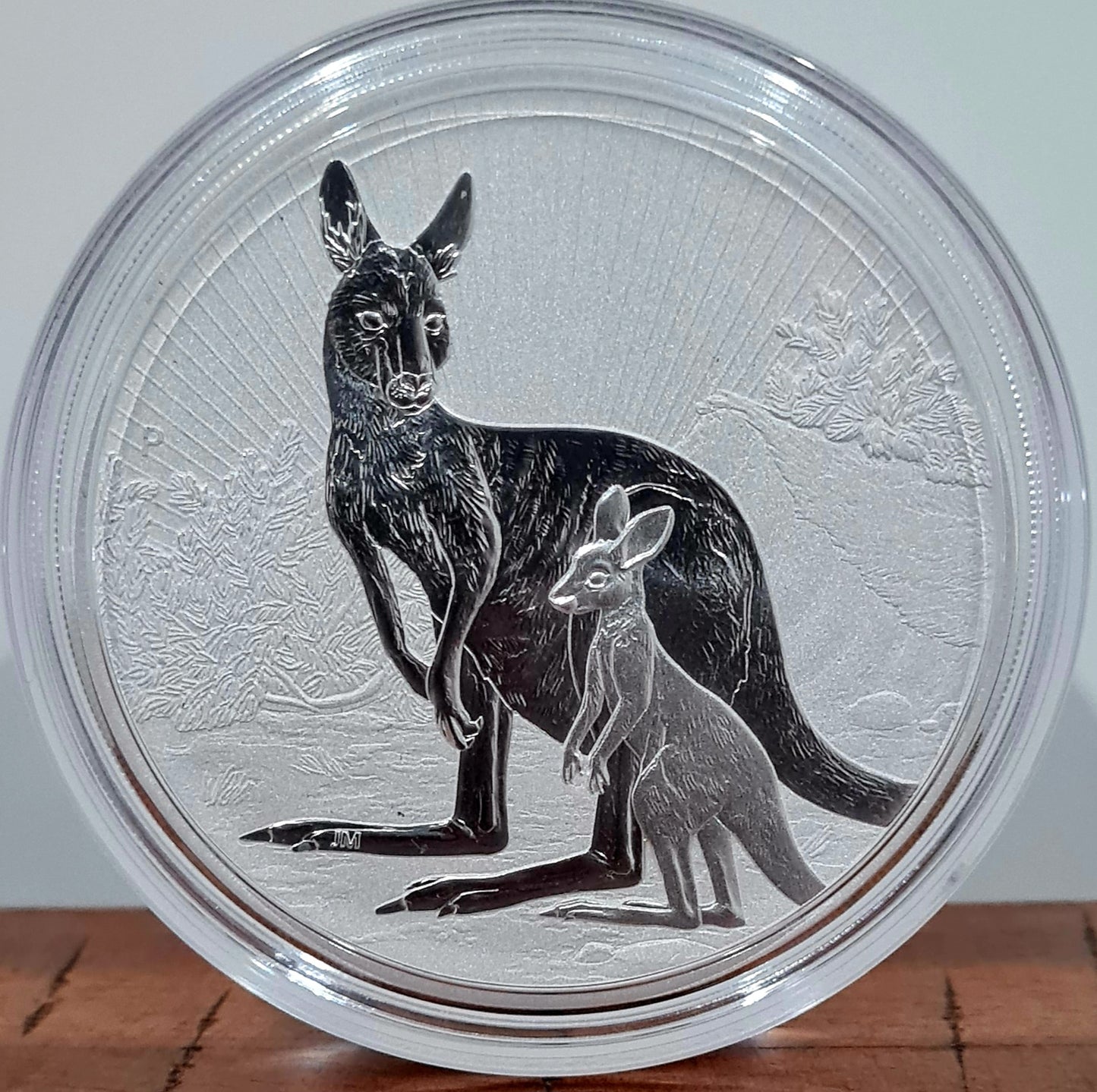 10oz 2023 Mother Baby Kangaroo Silver Coin