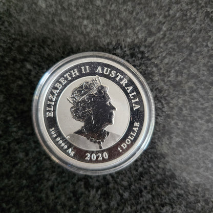 2020 1oz Bull and Bear silver coin