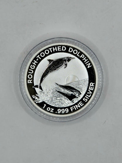 1oz 2023 Rough-toothed Dolphin silver coin