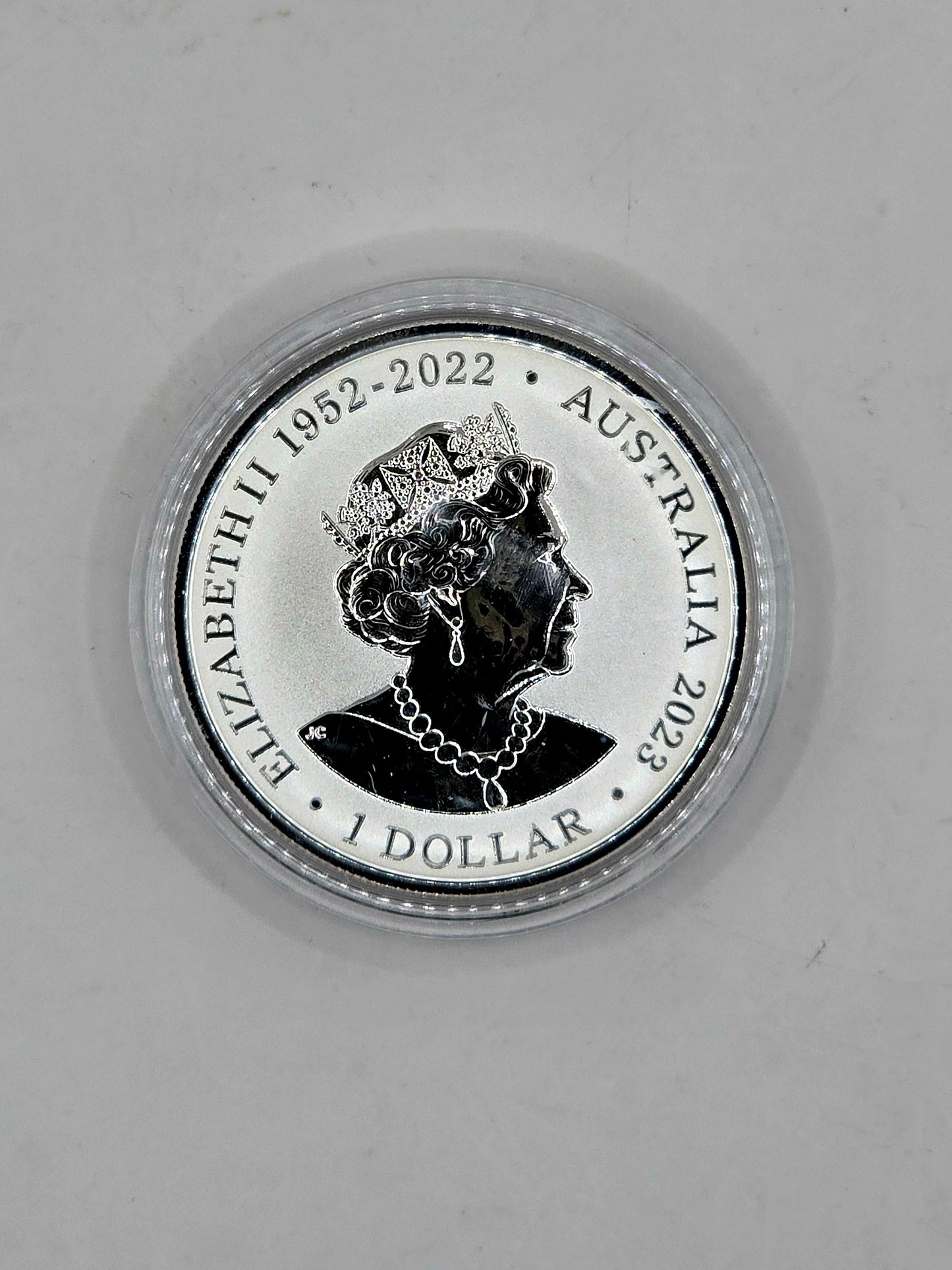 1oz 2023 Rough-toothed Dolphin silver coin