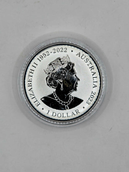 1oz 2023 Rough-toothed Dolphin silver coin