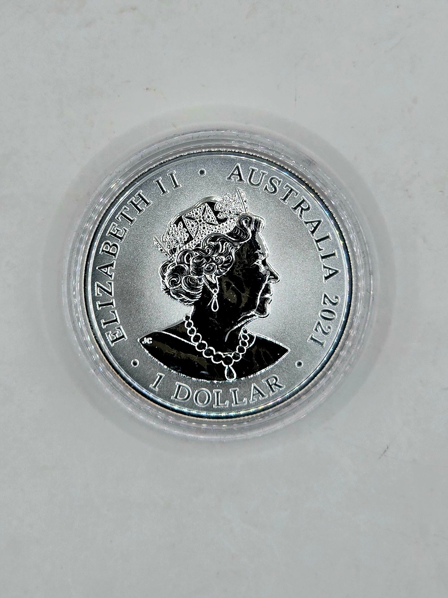 1oz 2021 Fraser's dolphin silver coin