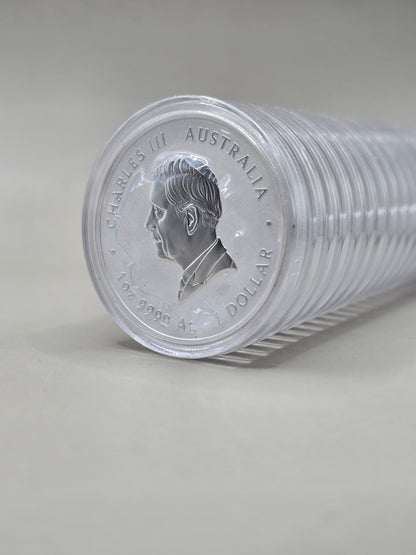 1oz 2025 Lunar Snake series 3 silver coin