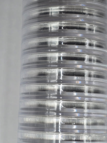 1oz 2021 Golden Eagle nugget silver coin (edge toning)