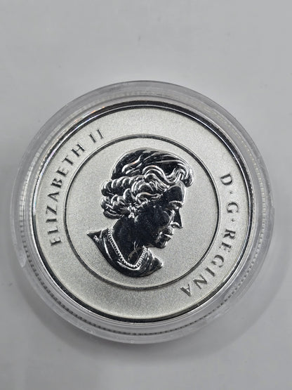 1/4oz 2011 C$20 silver coin