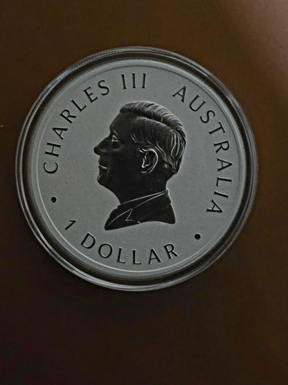1oz 2024 Perth Mint silver Swan