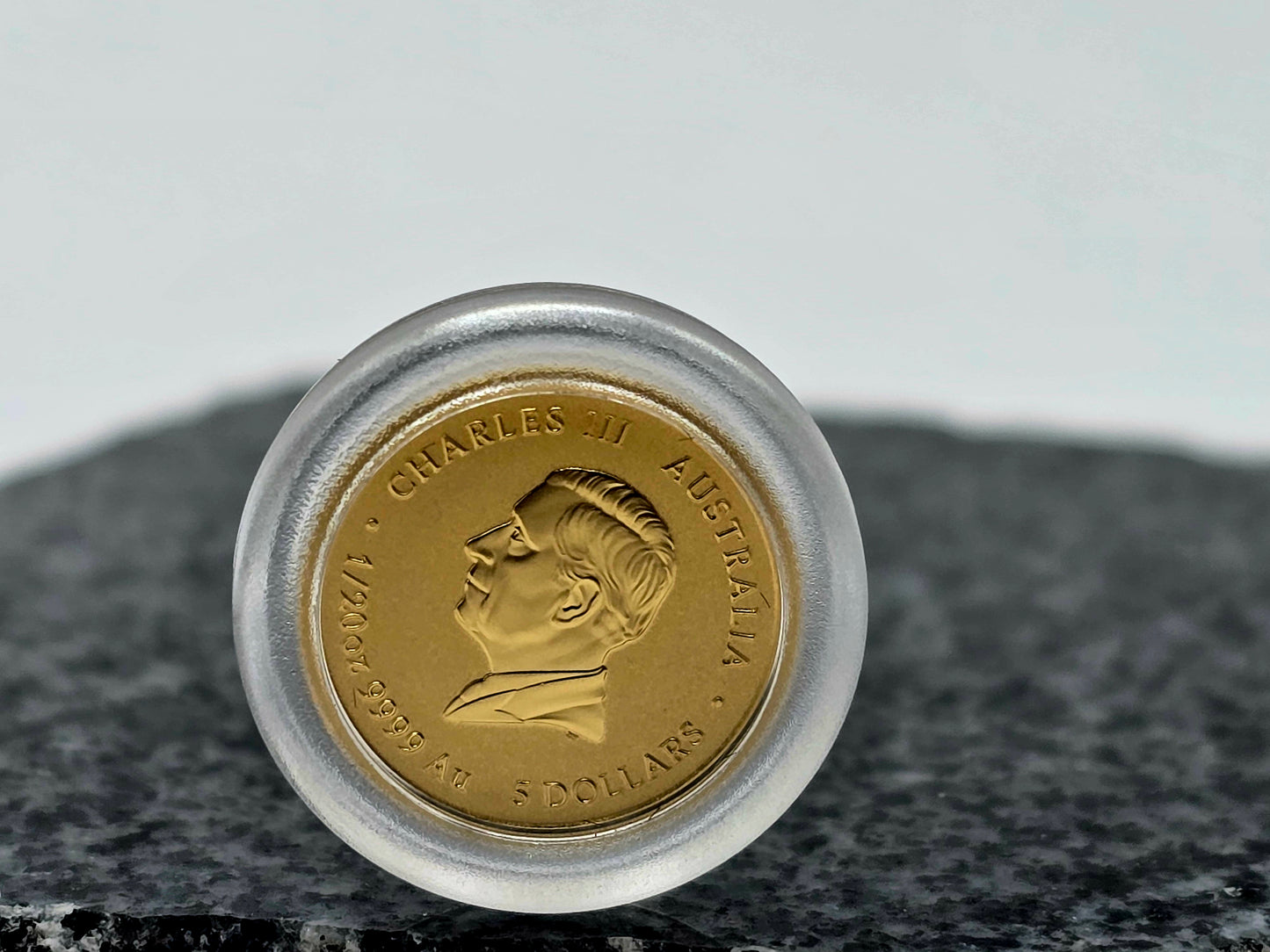 1/20oz 2025 Gold Snake