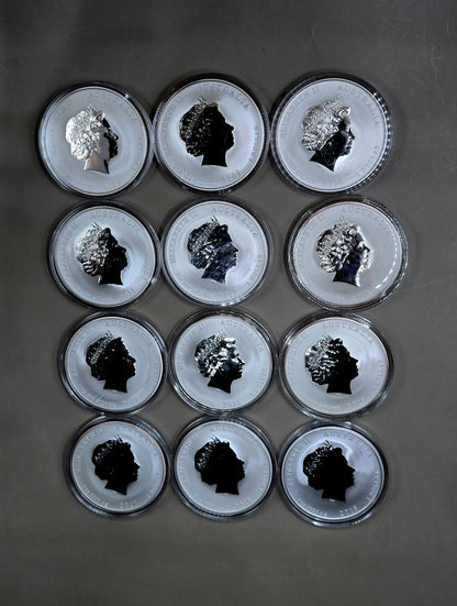 12x1oz Lunar Series 2 silver coins Full set