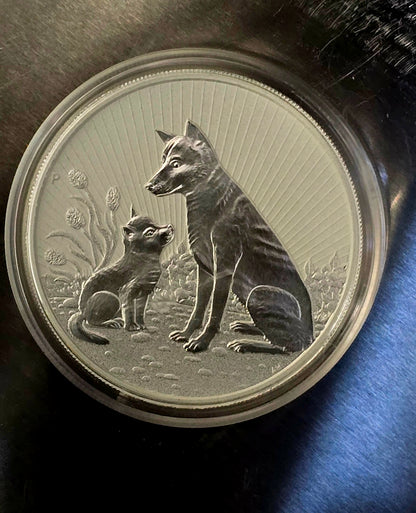 2oz 2022 Mother Baby silver Dingo in capsule