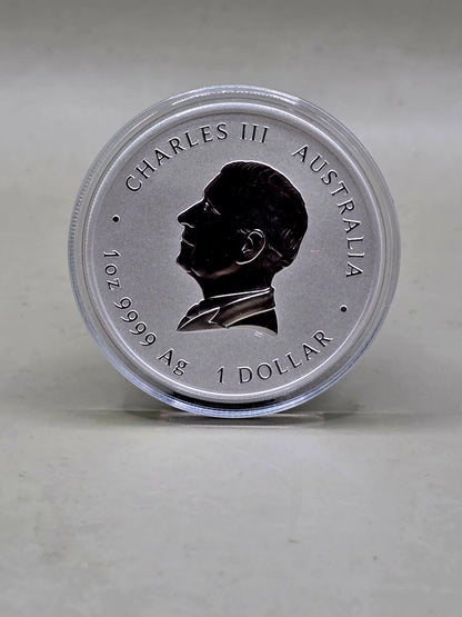 1oz 2025 Snake silver coin